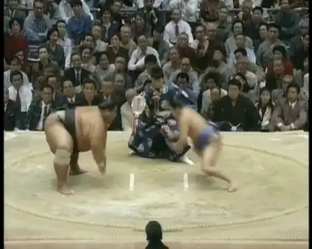 Классный бой сумо «никогда не сдавайся»