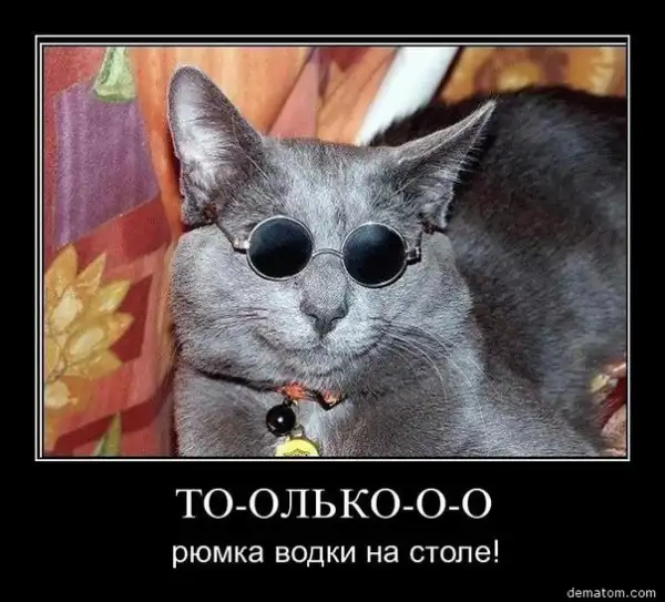 Подборка демотиваторов
