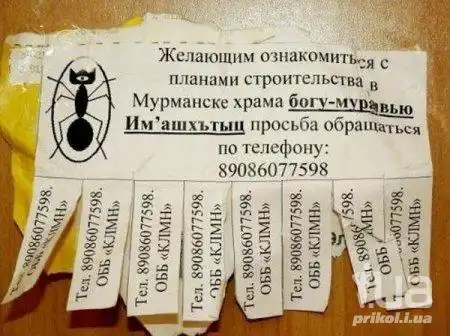 Фотоприколы Фотоприколы
