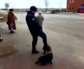 Полицейский остановил жестокую драку