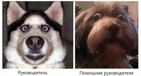 Фотокомиксы