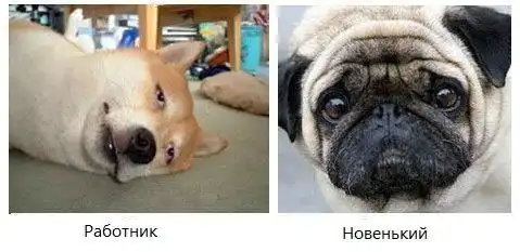 Фотокомиксы