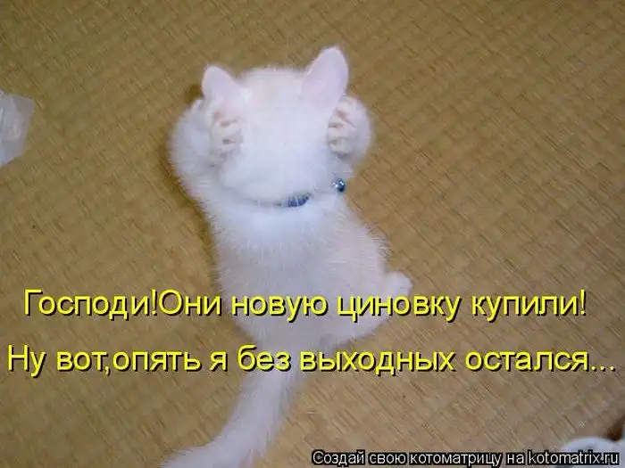 Лучшие котоматрицы недели Лучшие котоматрицы недели
