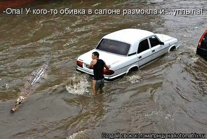 Лучшие котоматрицы недели Лучшие котоматрицы недели