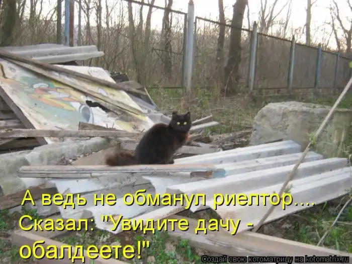Лучшие котоматрицы недели Лучшие котоматрицы недели
