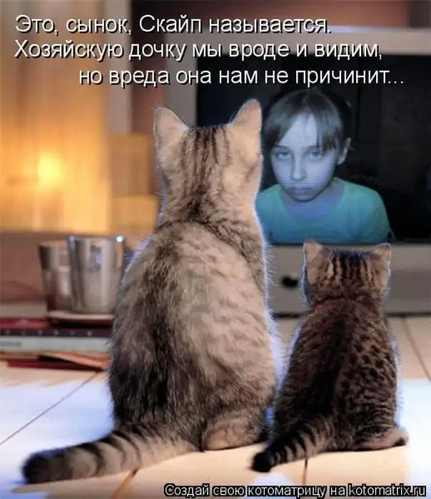 Лучшие котоматрицы недели Лучшие котоматрицы недели