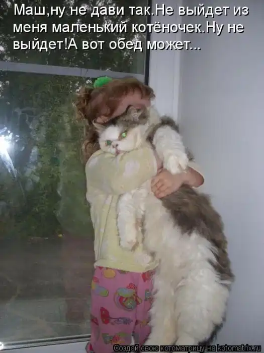 Лучшие котоматрицы недели Лучшие котоматрицы недели