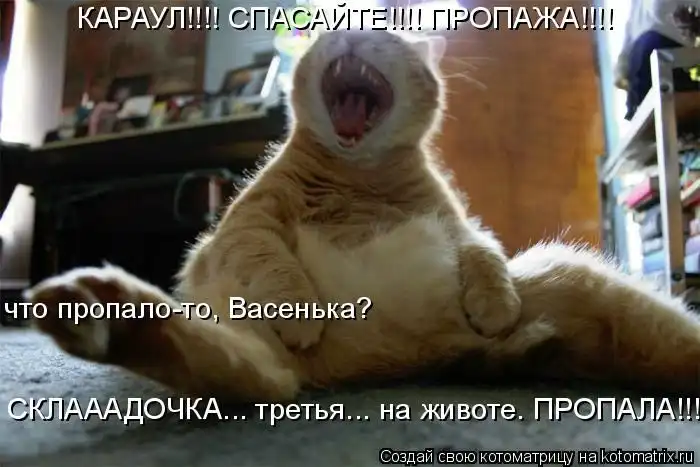 Лучшие котоматрицы недели Лучшие котоматрицы недели