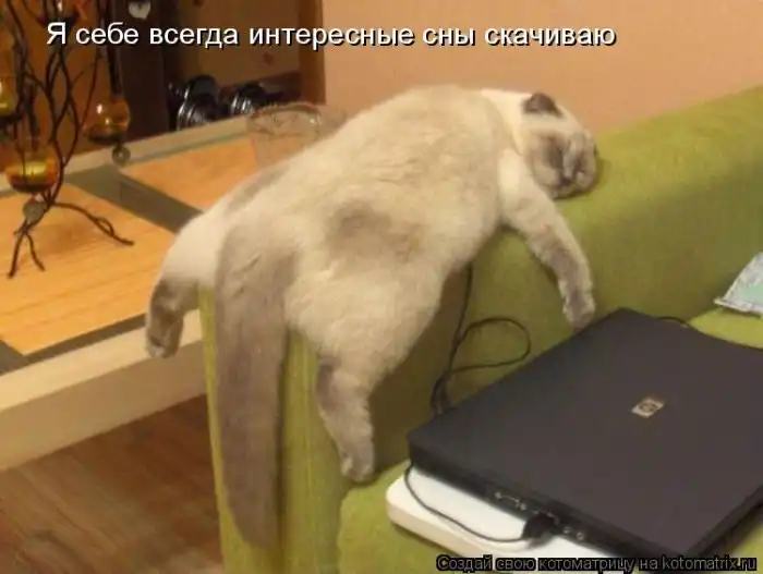 Лучшие котоматрицы недели Лучшие котоматрицы недели