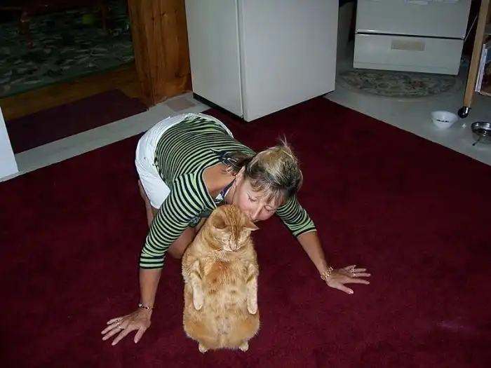 Прикольные картинки абавсём:D (04.11.11) Прикольные картинки абавсём:D (04.11.11)