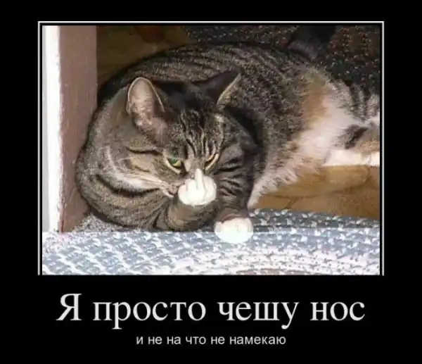 Демотиваторы (30 фото)