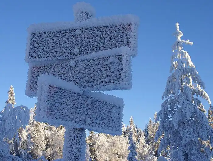 Зима Зима