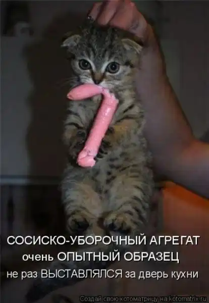 Котоматрица(26 pic)