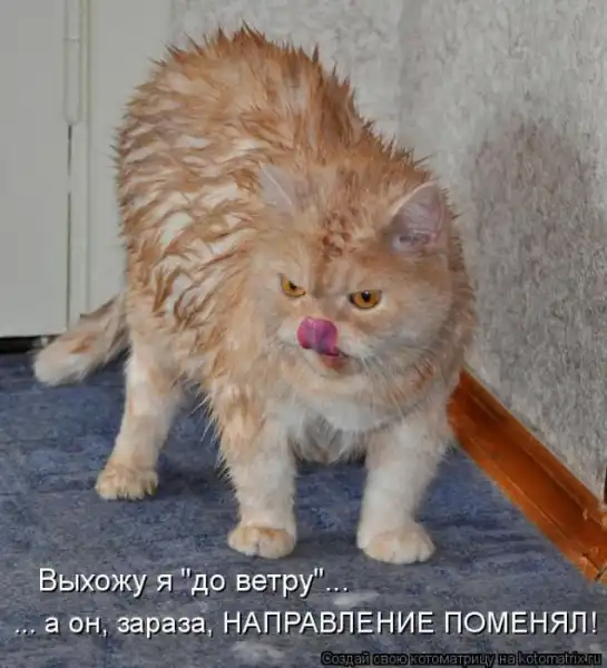 Котоматрица(26 pic)