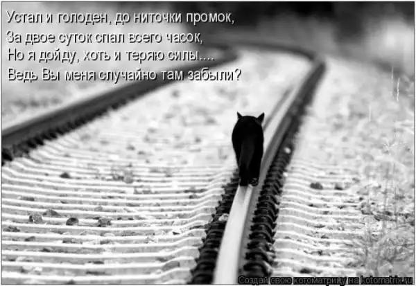 Котоматрица(26 pic)