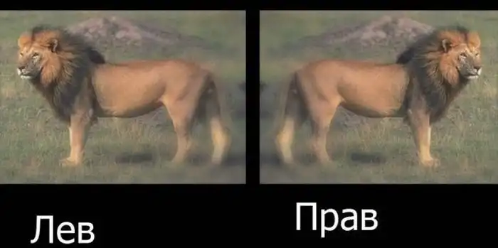 Прикольные картинки абавсём:D (19.12.11) Прикольные картинки абавсём:D (19.12.11)
