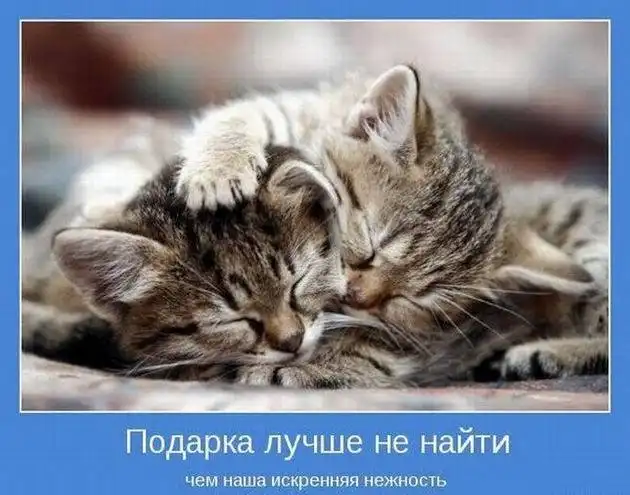 Добрые мотиваторы Добрые мотиваторы