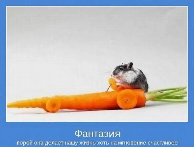 Добрые мотиваторы Добрые мотиваторы