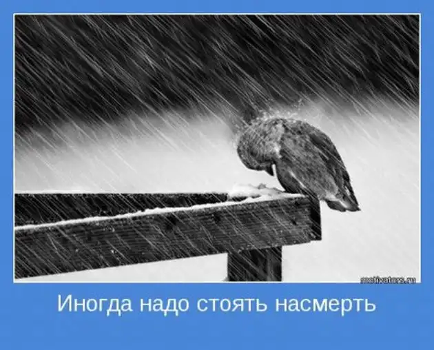 Добрые мотиваторы Добрые мотиваторы