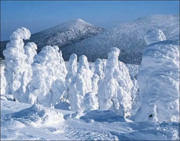 Японские «снежные монстры»