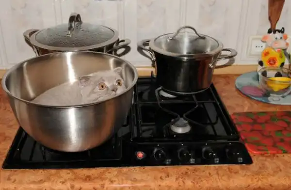 Приколы из сети