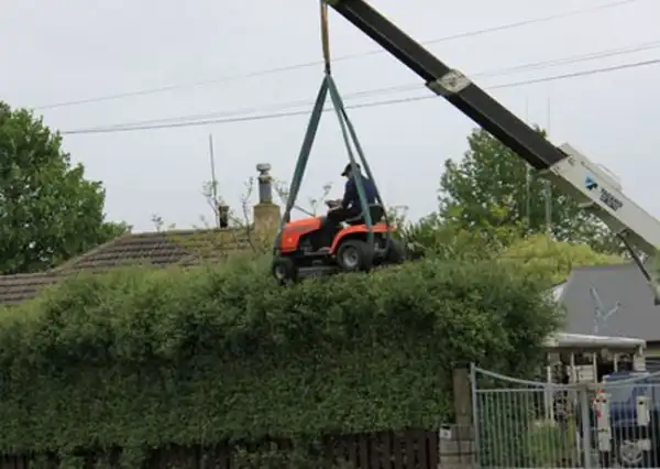 Приколы из сети