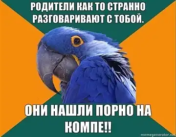 Попугай Параноик (Paranoid Parrot)