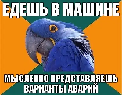 Попугай Параноик (Paranoid Parrot)