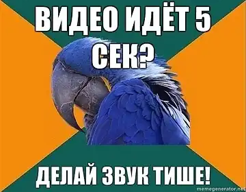 Попугай Параноик (Paranoid Parrot)