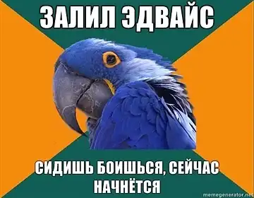 Попугай Параноик (Paranoid Parrot)