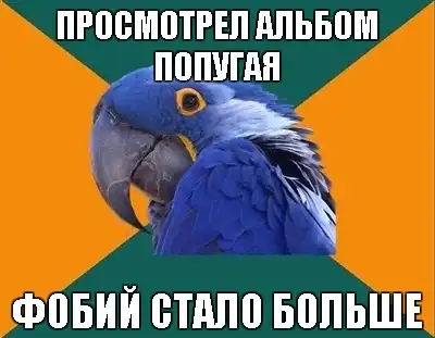Попугай Параноик (Paranoid Parrot)