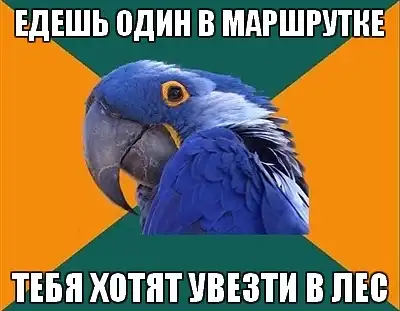 Попугай Параноик (Paranoid Parrot)