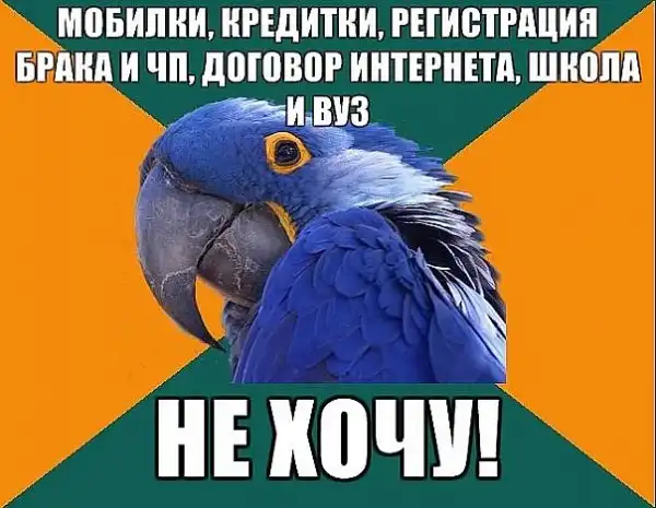 Попугай Параноик (Paranoid Parrot)