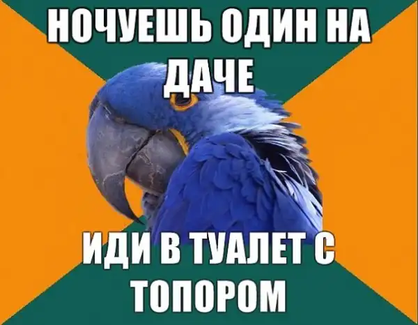 Попугай Параноик (Paranoid Parrot)