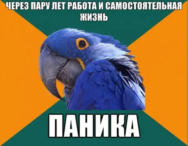Попугай Параноик (Paranoid Parrot)