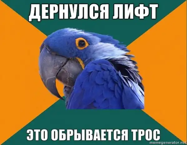 Попугай Параноик (Paranoid Parrot)