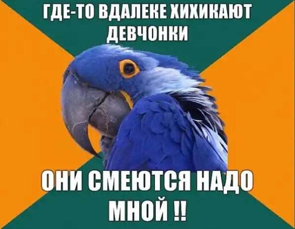 Попугай Параноик (Paranoid Parrot)