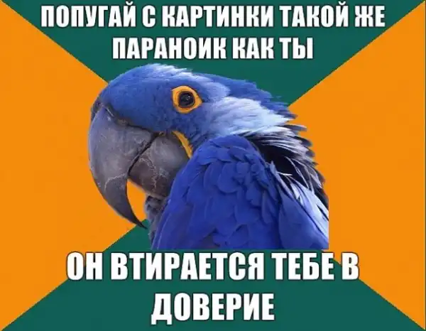 Попугай Параноик (Paranoid Parrot)