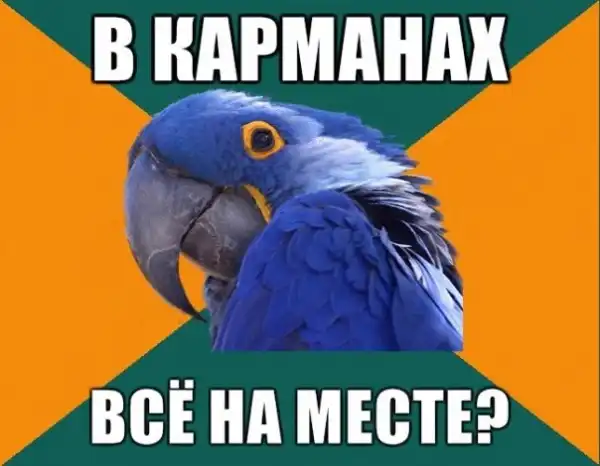 Попугай Параноик (Paranoid Parrot)
