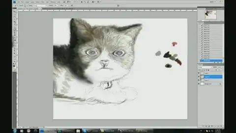 Ускоренное рисование кошки Ускоренное рисование кошки