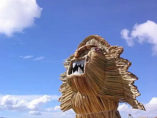 Сплетенный остров