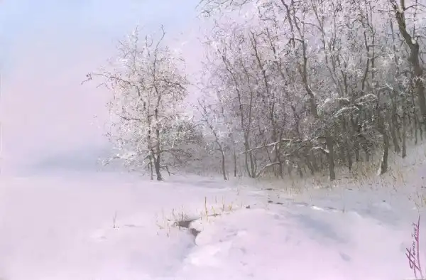 Художник Sorin