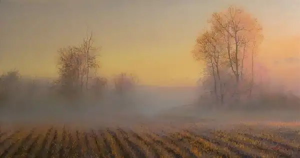 Художник Sorin