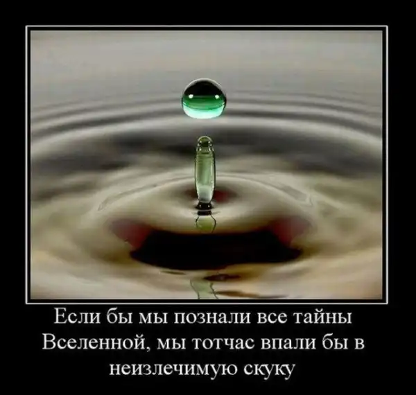 Демотиваторы