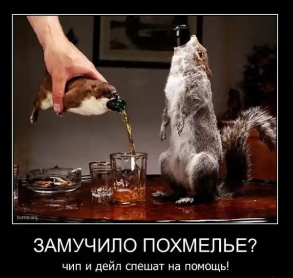 Демотиваторы