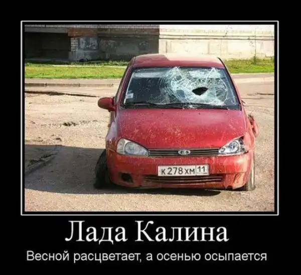 Демотиваторы