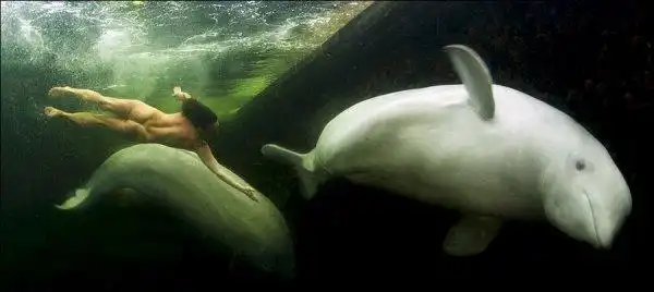 Голая чемпионка в ледяной воде Голая чемпионка в ледяной воде