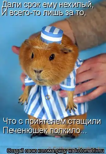 Kotomatrix