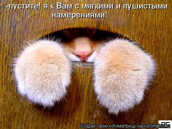 Kotomatrix