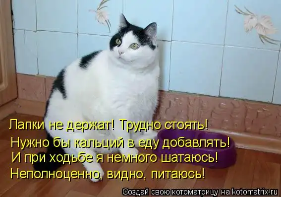 Kotomatrix